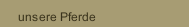 unsere Pferde