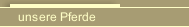 unsere Pferde